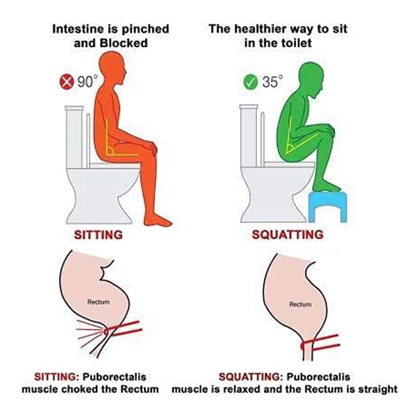 Toilet Squat Stool – Foldable, Non-Slip Bathroom Relief | storenzo