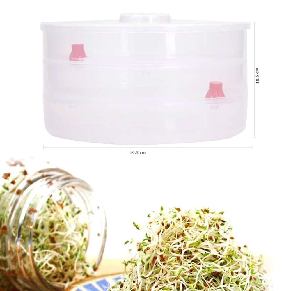 3 Compartment Sprout Maker – Hygienic & Healthy | Tidy Table