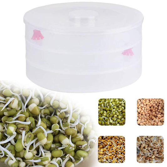 3 Compartment Sprout Maker – Hygienic & Healthy | Tidy Table